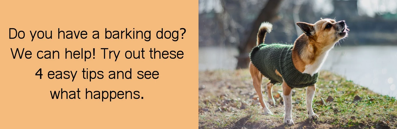 Tips to Help Your Dog Stop Barking