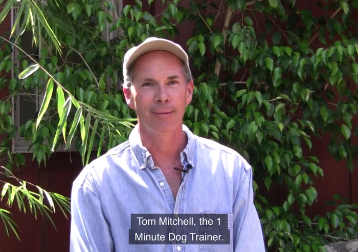 Tom Mitchell - 1 Minute Dog Training