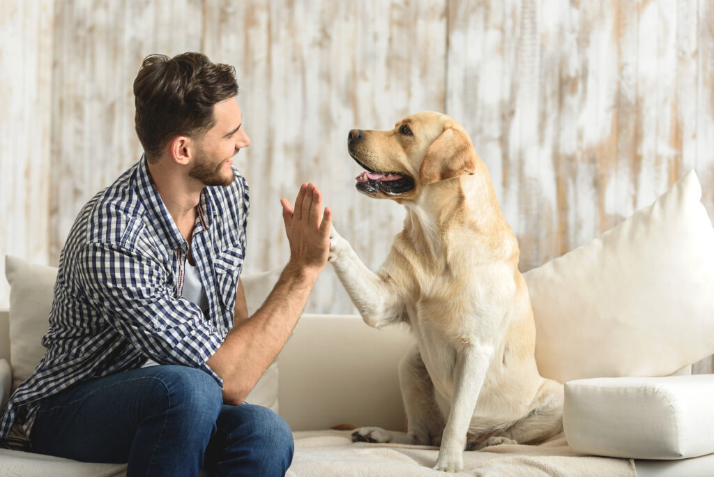 Why I Use Positive Reinforcement Dog Training