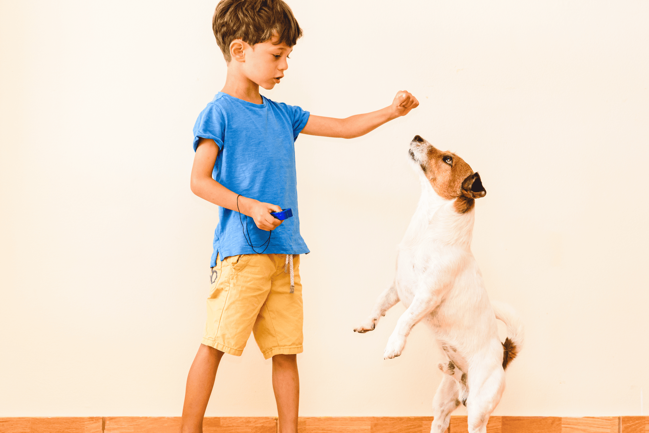 Dog clicker training and operant conditioning comes naturally to children. You can show your kids how to train your dog basic commands with either a clicker or a marker word.