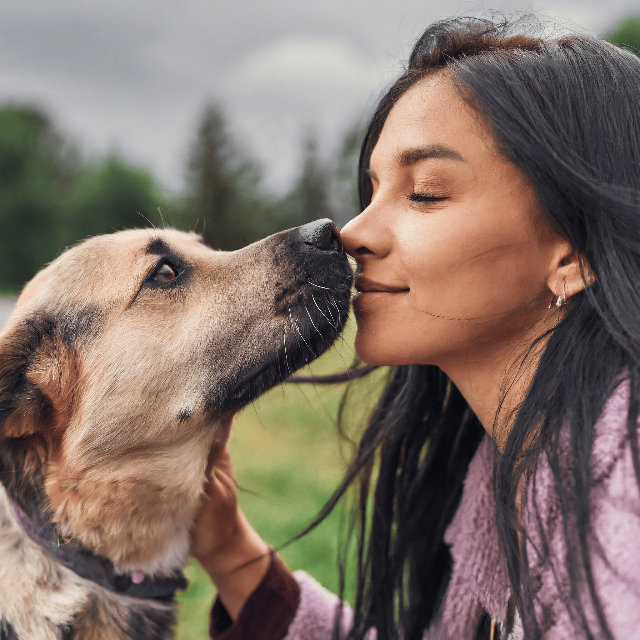 Your dog jumps to get close to your face. But a jumping dog can be dangerous. Instead, squat down so your dog keeps four paws on the floor. Then reward good behavior with attention and praise.