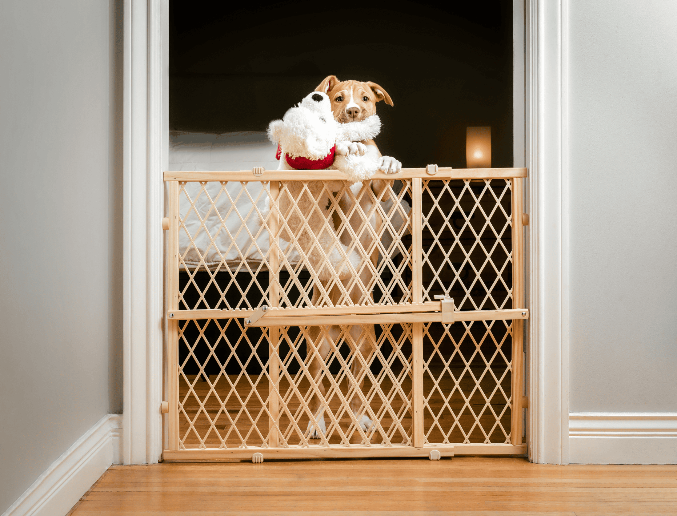 As pet parents, our dogs can feel like a human baby. It can be hard to hear their cries. I don't completely ignore a whining puppy. Instead, I stay near their crate door.